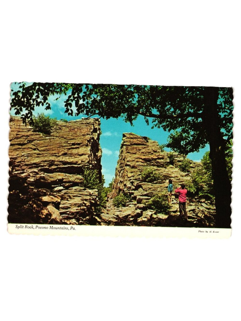 Split Rock Pocono Mountains Postcard From Split Rock Lodge Pennsylvania Scenic